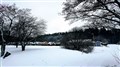 DSC_0001.jpg