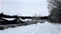 DSC_0006.jpg